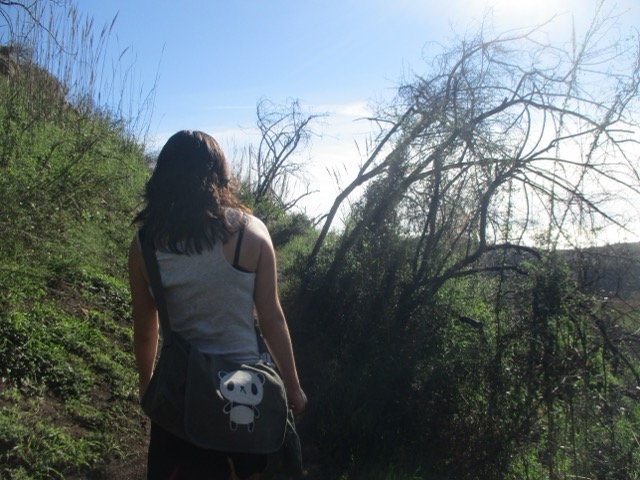 walking on campus at sunset